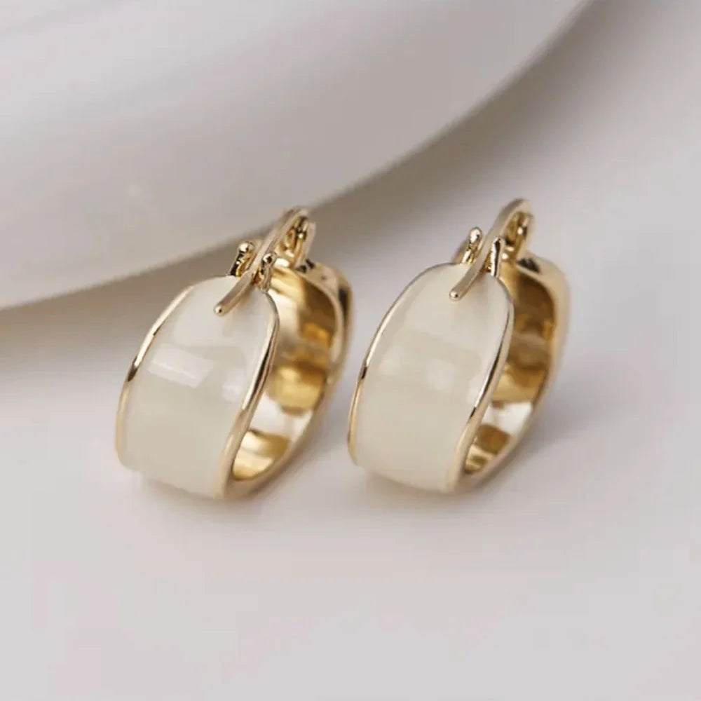 Simple and fashionable jewelry 18K gold-plated metal drop glaze exaggerated earrings modern women's daily accessories jewelry
