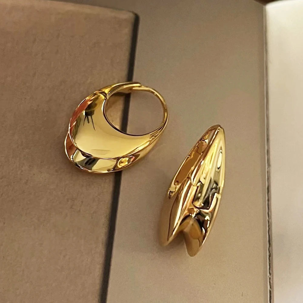 Smooth Metal Chunky Hoop Earrings for Women Girls Fashion Round Elliptic Hollow Circle Hoops Statement Earrings Punk OL Jewelry