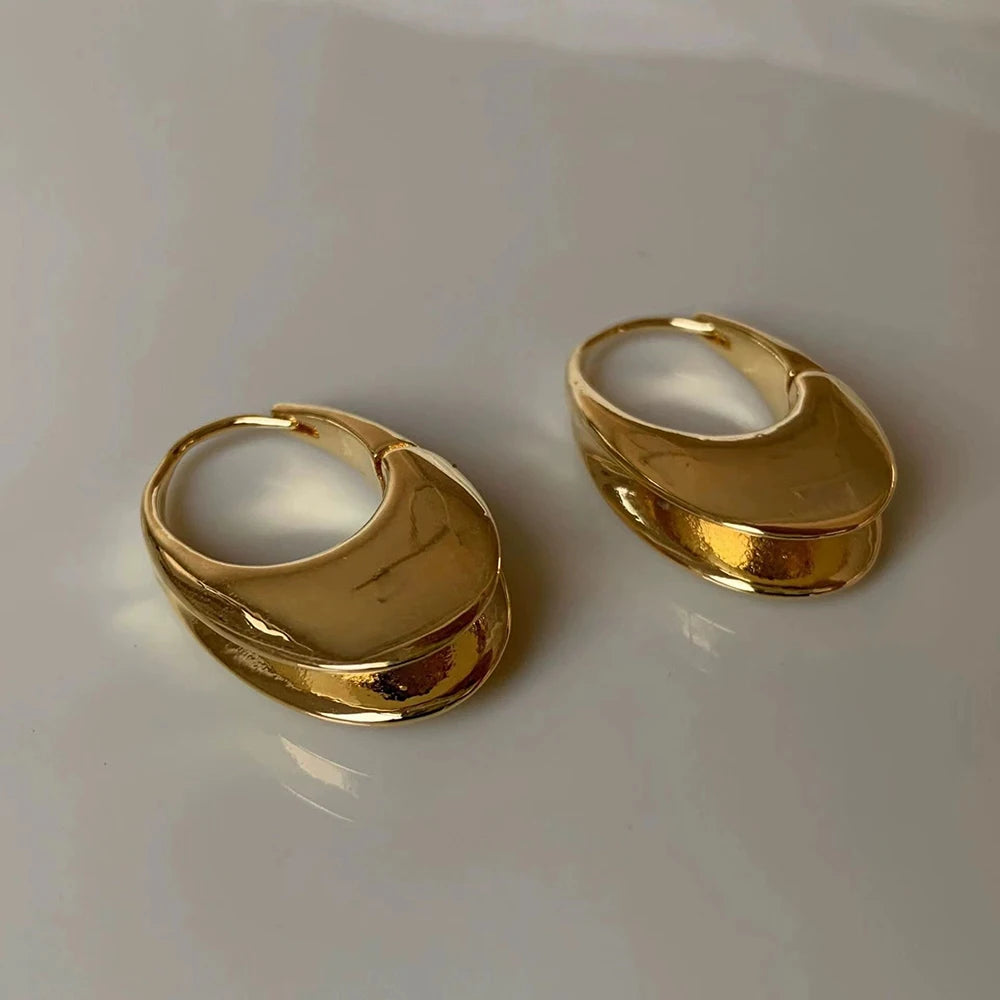 Smooth Metal Chunky Hoop Earrings for Women Girls Fashion Round Elliptic Hollow Circle Hoops Statement Earrings Punk OL Jewelry
