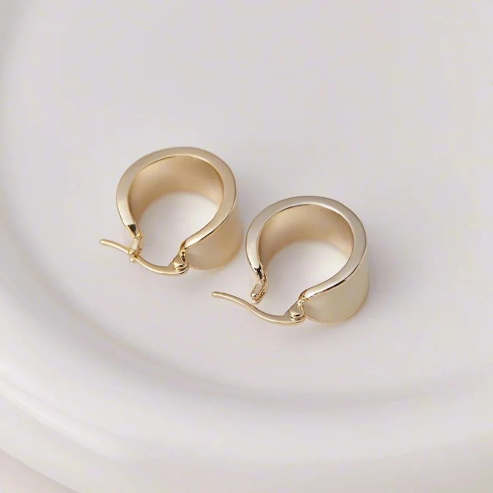 Simple and fashionable jewelry 18K gold-plated metal drop glaze exaggerated earrings modern women's daily accessories jewelry
