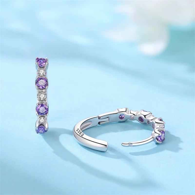 925 Sterling Silver Earrings Simple Star Moon insect Starlight Earrings For Women Wedding Engagement Charm Earrings Jewelry Gift